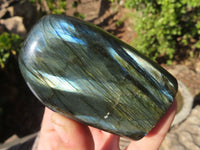 Polished Labradorite Standing Free Forms  x 6 From Tulear, Madagascar