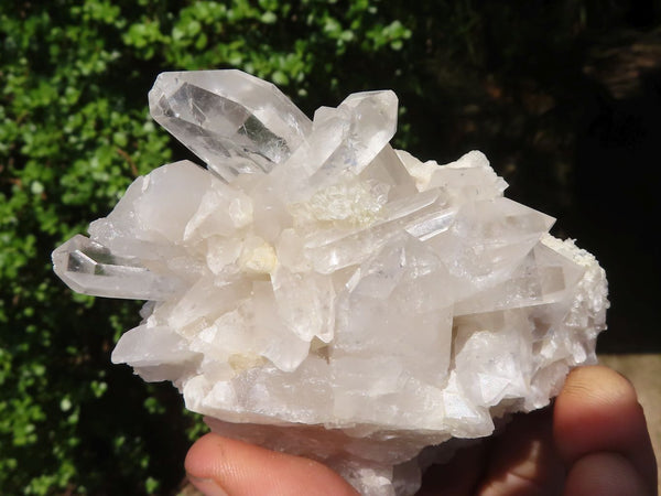 Natural Clear Single Quartz Crystals  x 5 From Mpika, Zambia - Toprock Gemstones and Minerals 