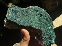 Natural Crystalline Botryoidal Malachite Specimen x 1 From Tenke Fungurume, Congo - TopRock