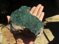 Natural Crystalline Botryoidal Malachite Specimen x 1 From Tenke Fungurume, Congo - TopRock