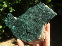 Natural Crystalline Botryoidal Malachite Specimen x 1 From Tenke Fungurume, Congo - TopRock