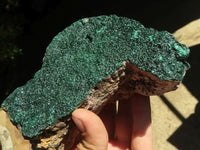 Natural Crystalline Botryoidal Malachite Specimen x 1 From Tenke Fungurume, Congo - TopRock