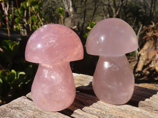 Polished Gemmy Pink Rose Quartz Mushrooms x 6 From Madagascar