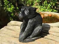 Polished Groovy Black Soap Stone Baboon Carving  x 1 From Zimbabwe - Toprock Gemstones and Minerals 