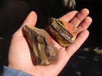 Natural Cobbed Nguni Jasper Pieces  x 24 From Northern Cape, South Africa