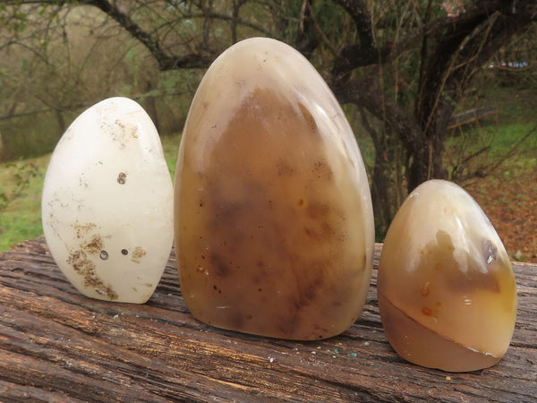 Polished Trio Of Agate Standing Free Forms  x 3 From Madagascar - TopRock