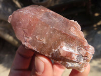 Natural Red Hematoid Quartz Crystals x 12 From Karoi, Zimbabwe