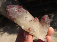 Natural Red Hematoid Quartz Crystals x 12 From Karoi, Zimbabwe