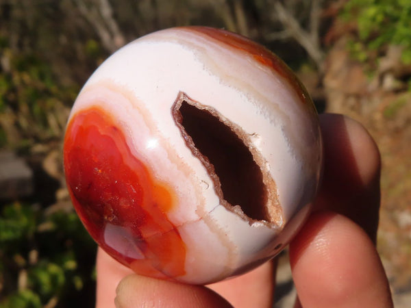 Polished Carnelian Agate Spheres x 6 From Madagascar