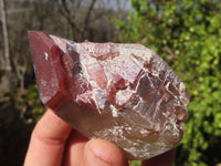 Natural Red Hematoid Quartz Crystals x 12 From Karoi, Zimbabwe