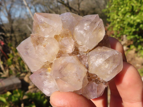 Natural Mixed Spirit Quartz Crystals x 75 From Boekenhouthoek, South Africa