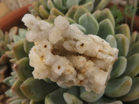 Natural Drusy Quartz Coated Calcite Pseudomorph Specimens  x 35 From Alberts Mountain, Lesotho - TopRock