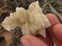 Natural Drusy Quartz Coated Calcite Pseudomorph Specimens  x 35 From Alberts Mountain, Lesotho - TopRock