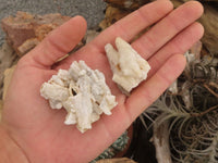 Natural Drusy Quartz Coated Calcite Pseudomorph Specimens  x 35 From Alberts Mountain, Lesotho - TopRock