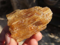 Natural Honey Etched Aragonite Specimens  x 12 From Namibia