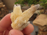 Natural Drusy Quartz Coated Calcite Pseudomorph Specimens  x 35 From Alberts Mountain, Lesotho - TopRock