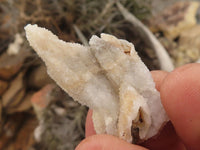 Natural Drusy Quartz Coated Calcite Pseudomorph Specimens  x 35 From Alberts Mountain, Lesotho - TopRock