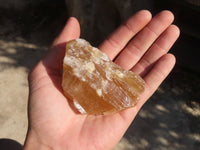 Natural Honey Etched Aragonite Specimens  x 12 From Namibia