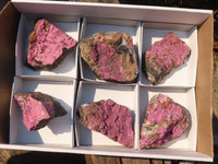 Natural Pink Salrose Cobaltion Dolomite Specimens  x 6 From Kakanda, Congo