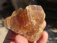 Natural Honey Etched Aragonite Specimens  x 12 From Namibia