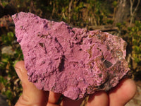 Natural Pink Salrose Cobaltion Dolomite Specimens  x 6 From Kakanda, Congo