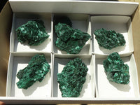 Natural Chatoyant Silky Malachite Specimens  x 6 From Kasompe, Congo - TopRock