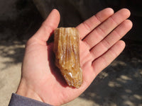 Natural Honey Etched Aragonite Specimens  x 12 From Namibia