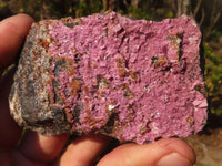 Natural Pink Salrose Cobaltion Dolomite Specimens  x 6 From Kakanda, Congo