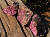 Natural Pink Salrose Cobaltion Dolomite Specimens  x 6 From Kakanda, Congo