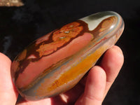 Polished Polychrome / Picasso Jasper Standing Free Forms  x 6 From Madagascar - Toprock Gemstones and Minerals 