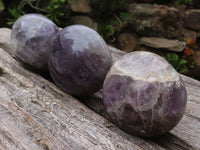 Polished Large Amethyst Palm Stones  x 12 From Madagascar - TopRock