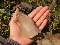 Polished Large Smokey Quartz Crystals x 4 From Angola