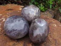 Polished Large Amethyst Palm Stones  x 12 From Madagascar - TopRock