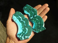 Polished Stunning Malacholla Slices  x 12 From Congo - Toprock Gemstones and Minerals 