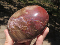 Polished Petrified Red Podocarpus Wood Standing Free Forms x 4 From Madagascar - TopRock