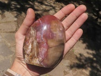 Polished Petrified Red Podocarpus Wood Standing Free Forms x 4 From Madagascar - TopRock