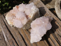 Natural White Flower Cactus Spirit Quartz Clusters  x 2 From Boekenhouthoek, South Africa - Toprock Gemstones and Minerals 