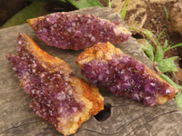 Natural Dark "Amethystos" Amethyst Clusters  x 24 From Kwaggafontein, South Africa - TopRock