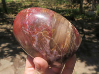 Polished Petrified Red Podocarpus Wood Standing Free Forms x 4 From Madagascar - TopRock