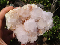 Natural White Flower Cactus Spirit Quartz Clusters  x 2 From Boekenhouthoek, South Africa - Toprock Gemstones and Minerals 