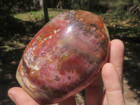 Polished Petrified Red Podocarpus Wood Standing Free Forms x 4 From Madagascar - TopRock