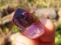 Natural Window Amethyst Crystals  x 70 From Chiredzi, Zimbabwe