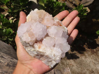 Natural White Flower Cactus Spirit Quartz Clusters  x 2 From Boekenhouthoek, South Africa - Toprock Gemstones and Minerals 