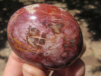 Polished Petrified Red Podocarpus Wood Standing Free Forms x 4 From Madagascar - TopRock