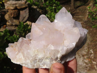 Natural White Flower Cactus Spirit Quartz Clusters  x 2 From Boekenhouthoek, South Africa - Toprock Gemstones and Minerals 