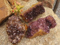 Natural Dark "Amethystos" Amethyst Clusters  x 24 From Kwaggafontein, South Africa - TopRock