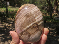 Polished Petrified Red Podocarpus Wood Standing Free Forms x 4 From Madagascar - TopRock