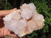 Natural White Flower Cactus Spirit Quartz Clusters  x 2 From Boekenhouthoek, South Africa - Toprock Gemstones and Minerals 