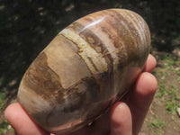 Polished Petrified Red Podocarpus Wood Standing Free Forms x 4 From Madagascar - TopRock