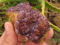 Natural Dark "Amethystos" Amethyst Clusters  x 24 From Kwaggafontein, South Africa - TopRock